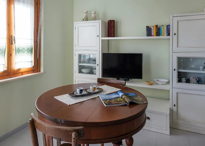 Sareu * ألغيرو